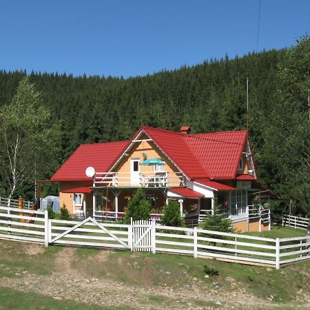 Podina Guest House Poiana Horea エクステリア 写真
