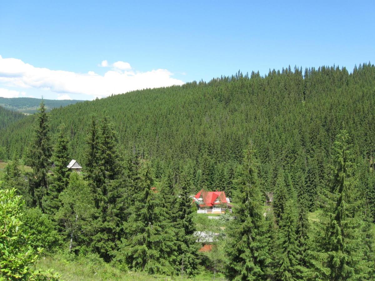 Podina Guest House Poiana Horea エクステリア 写真