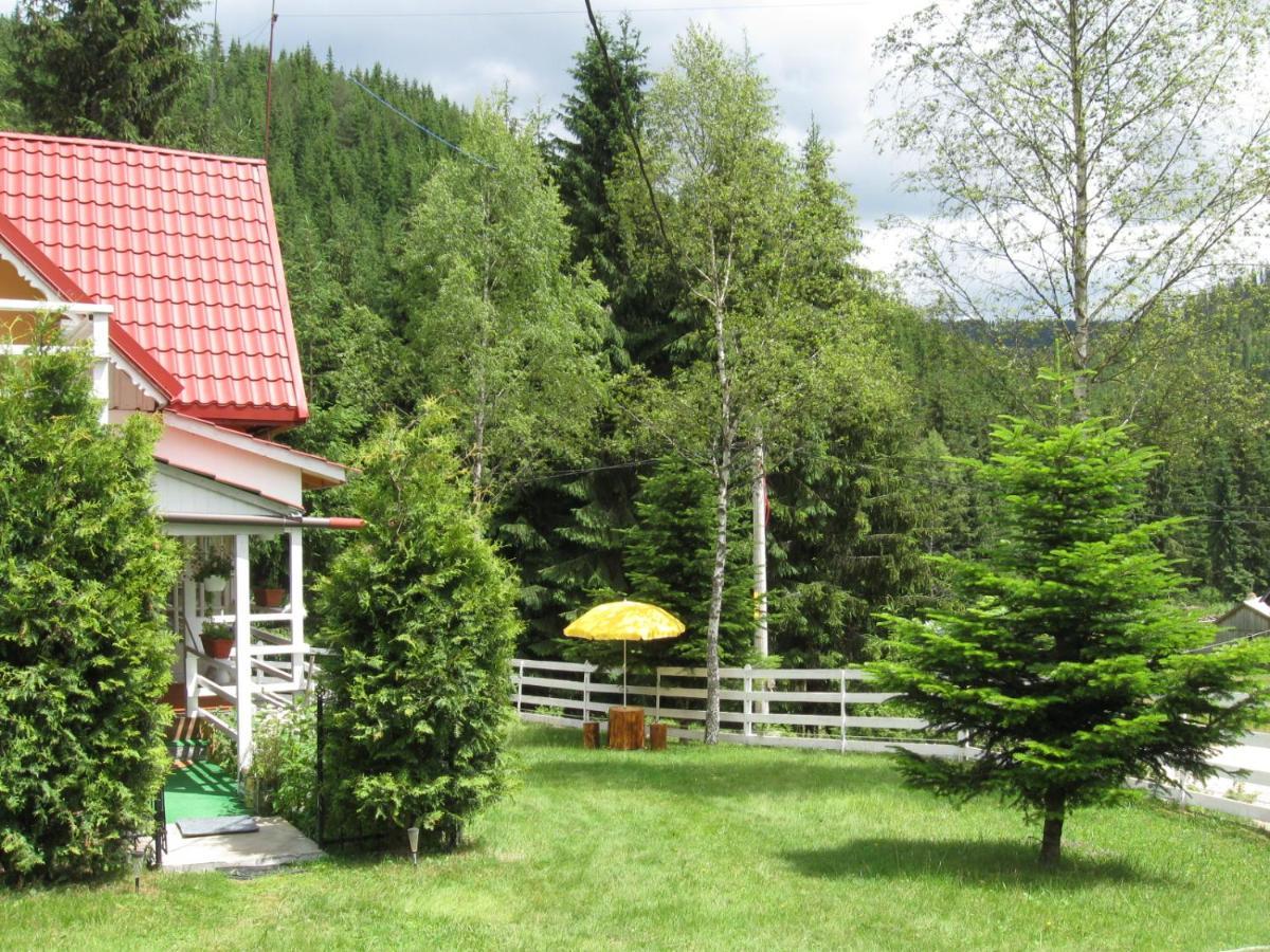 Podina Guest House Poiana Horea エクステリア 写真