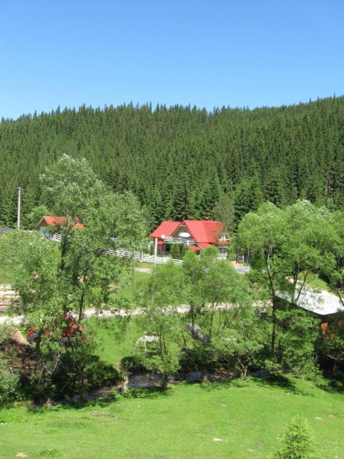 Podina Guest House Poiana Horea エクステリア 写真