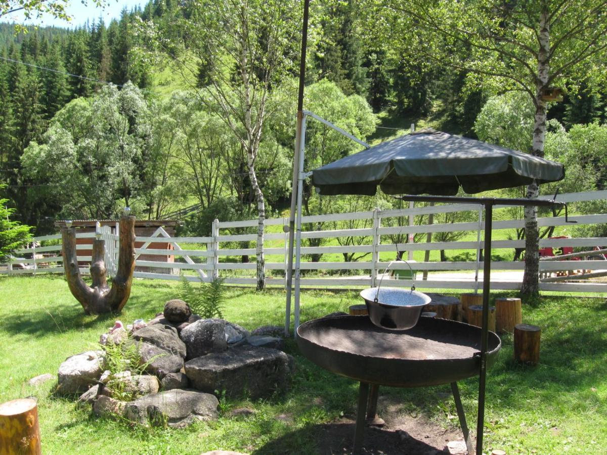 Podina Guest House Poiana Horea エクステリア 写真