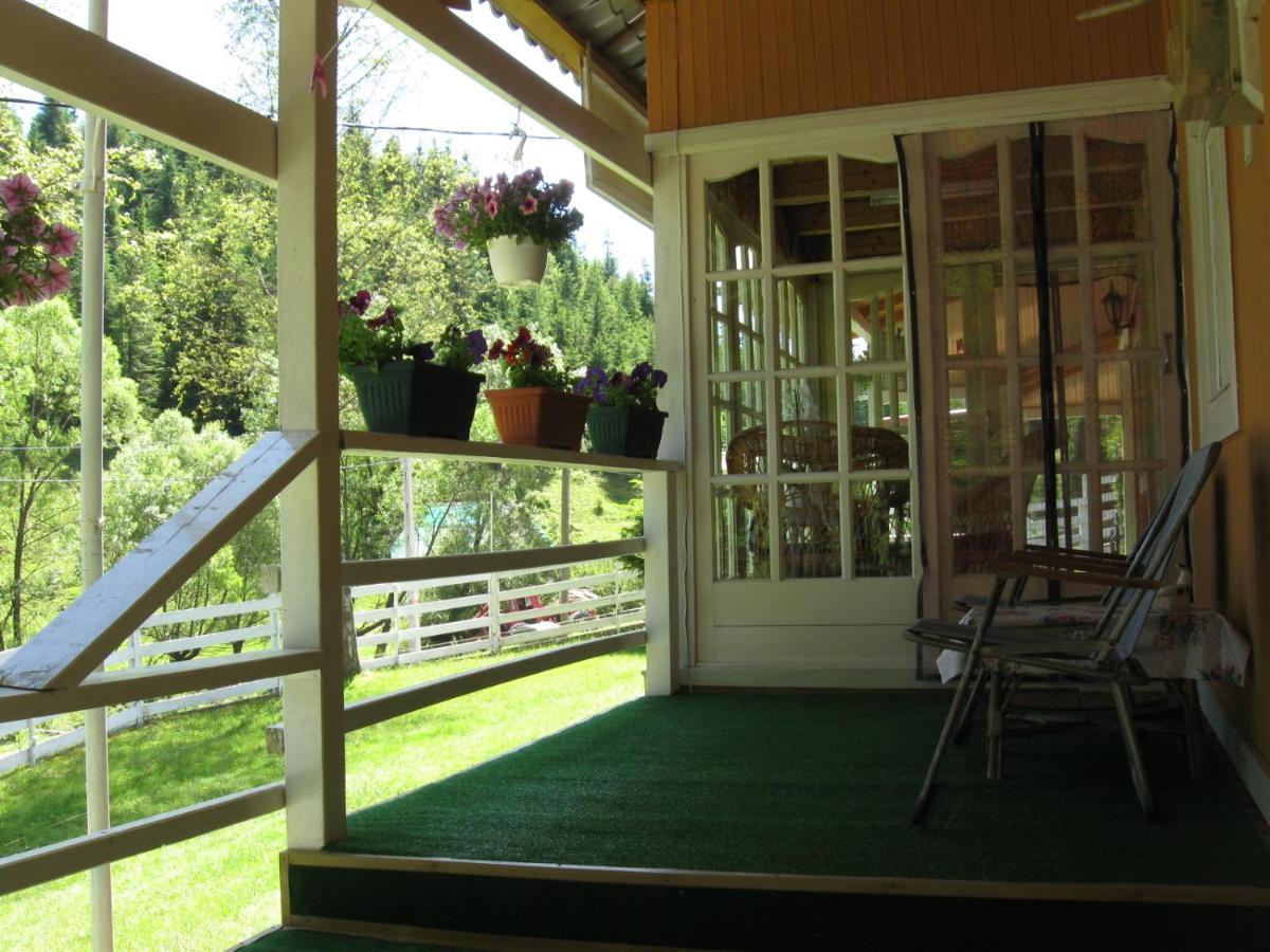 Podina Guest House Poiana Horea エクステリア 写真