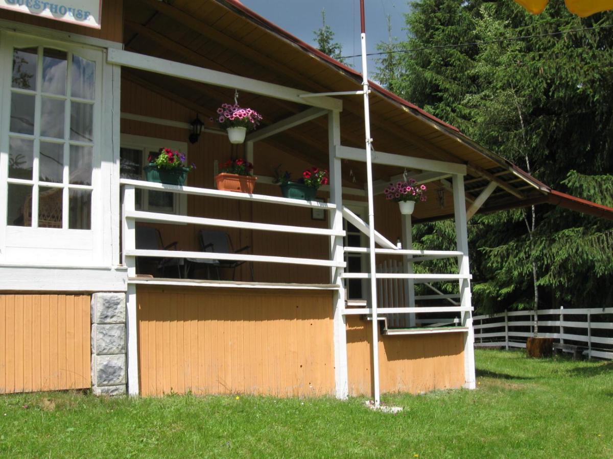 Podina Guest House Poiana Horea エクステリア 写真