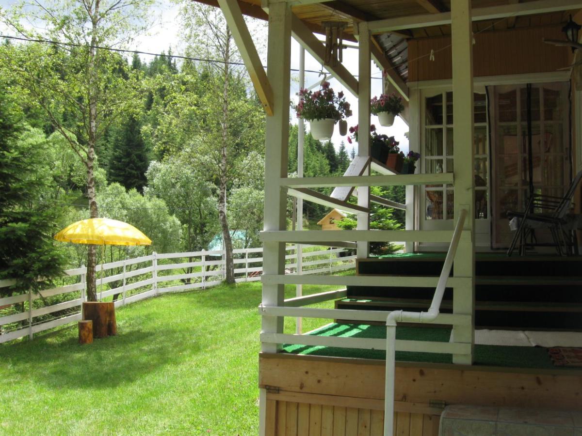 Podina Guest House Poiana Horea エクステリア 写真