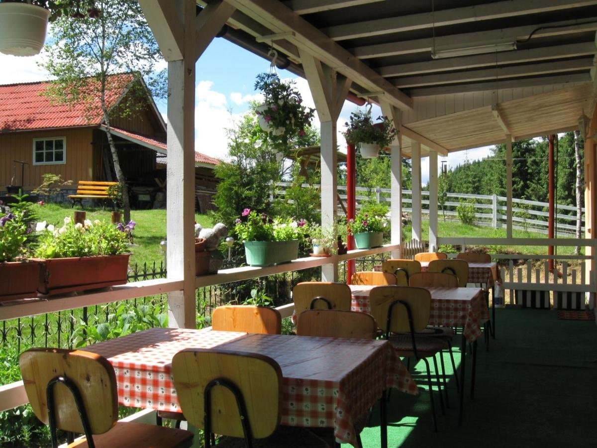 Podina Guest House Poiana Horea エクステリア 写真