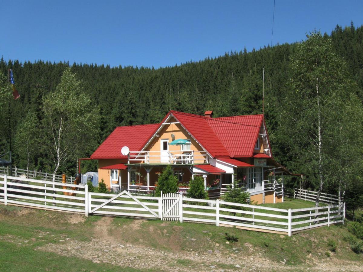 Podina Guest House Poiana Horea エクステリア 写真